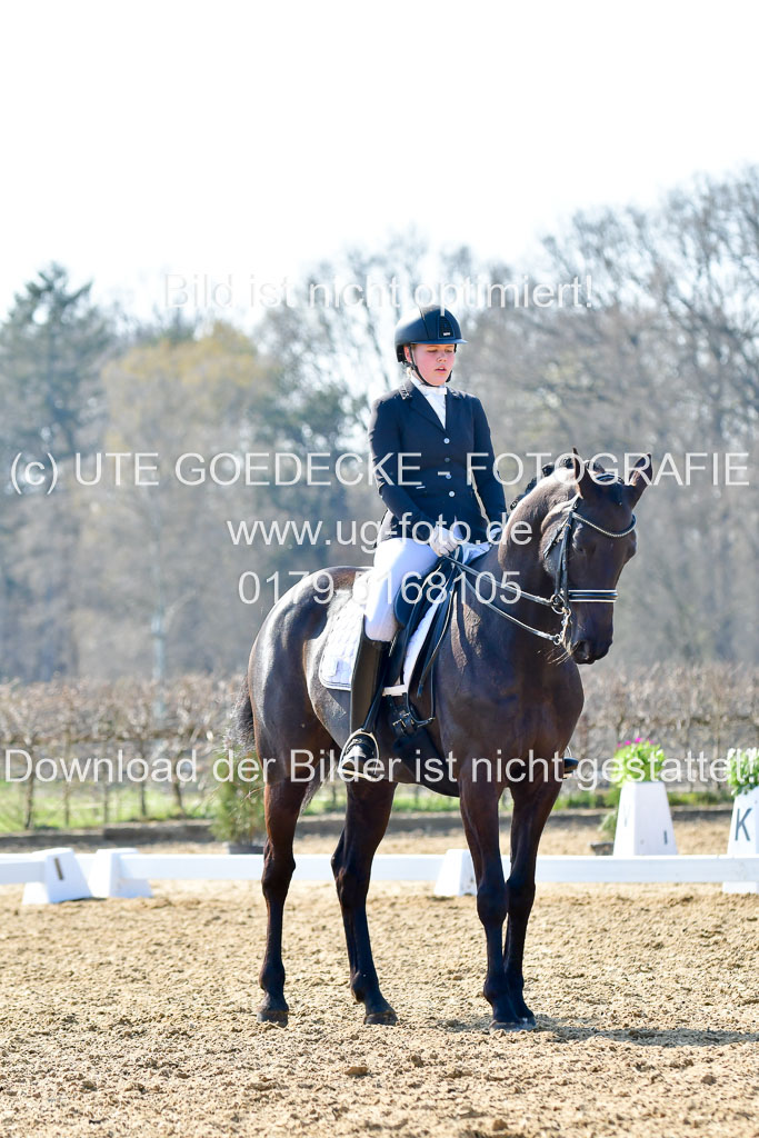 Reitsportzentrum Bremervörde | 170421 Dressur M+ _142