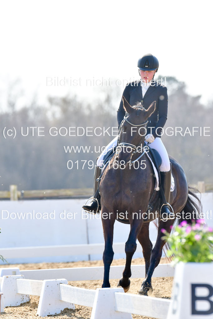 Reitsportzentrum Bremervörde | 170421 Dressur M+ _145