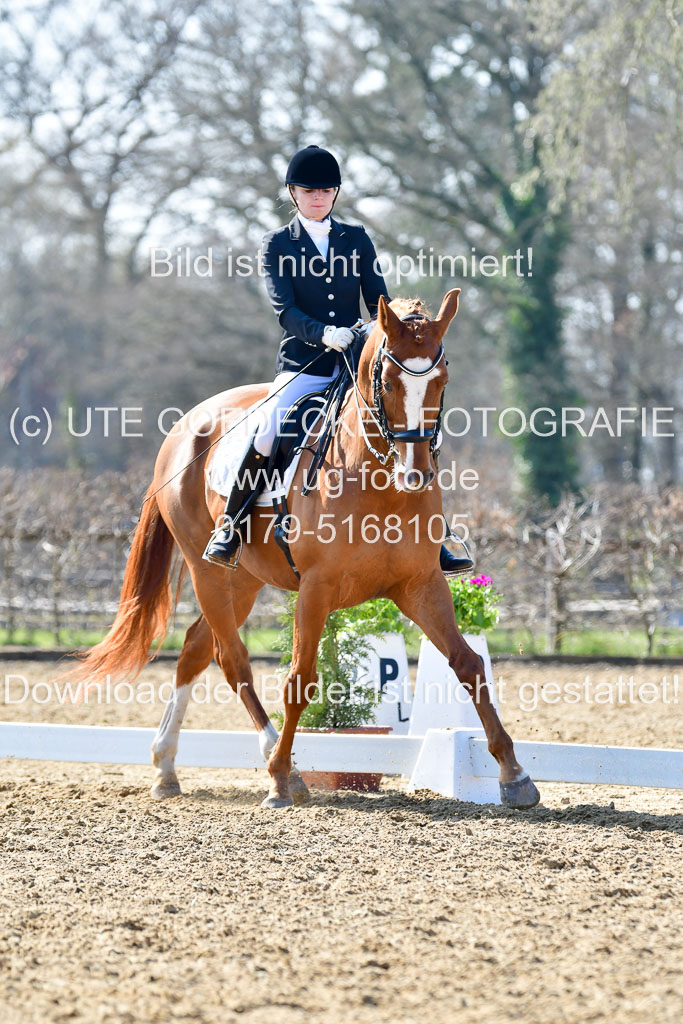 Reitsportzentrum Bremervörde | 170421 Dressur M+ _153