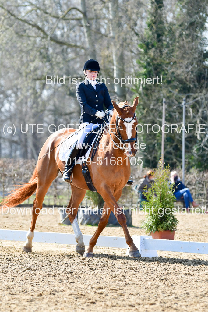 Reitsportzentrum Bremervörde | 170421 Dressur M+ _154