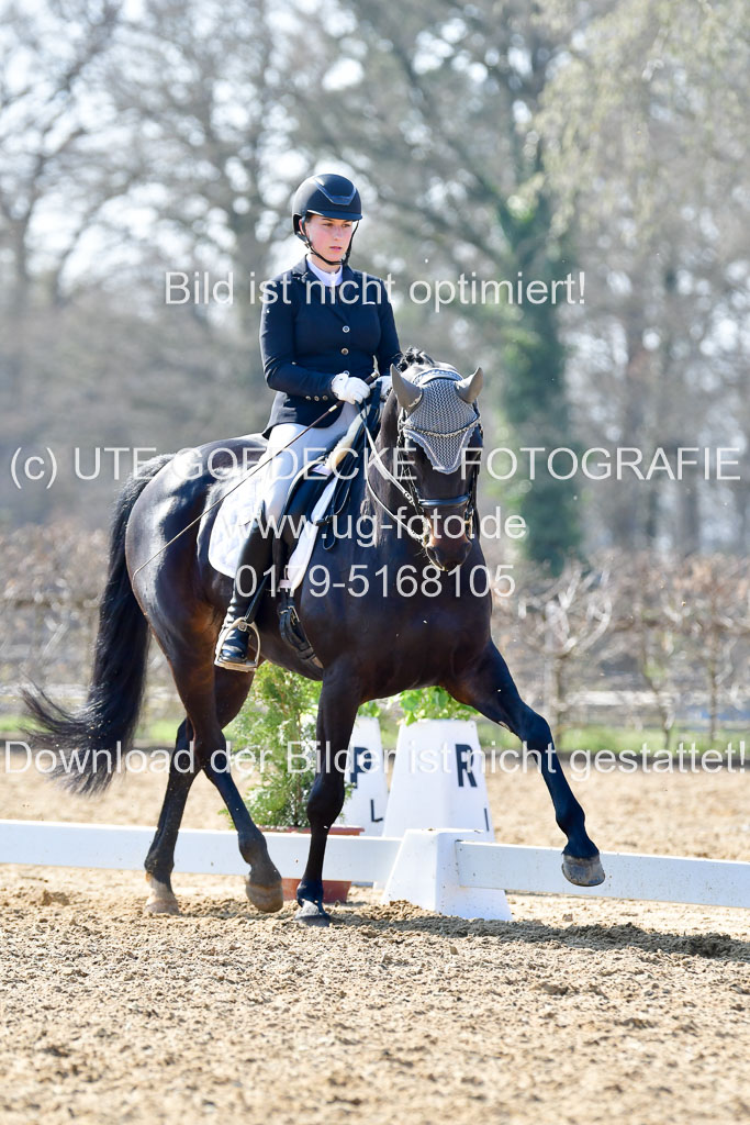 Reitsportzentrum Bremervörde | 170421 Dressur M+ _159 