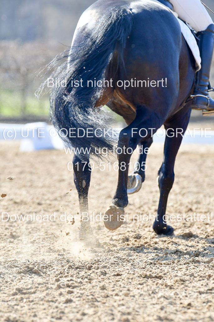 Reitsportzentrum Bremervörde | 170421 Dressur M+ _160