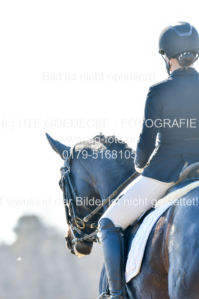 Reitsportzentrum Bremervörde | 170421 Dressur M+ _162