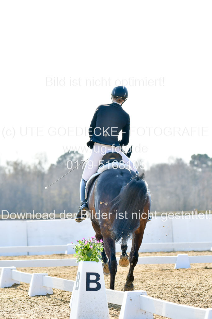 Reitsportzentrum Bremervörde | 170421 Dressur M+ _167