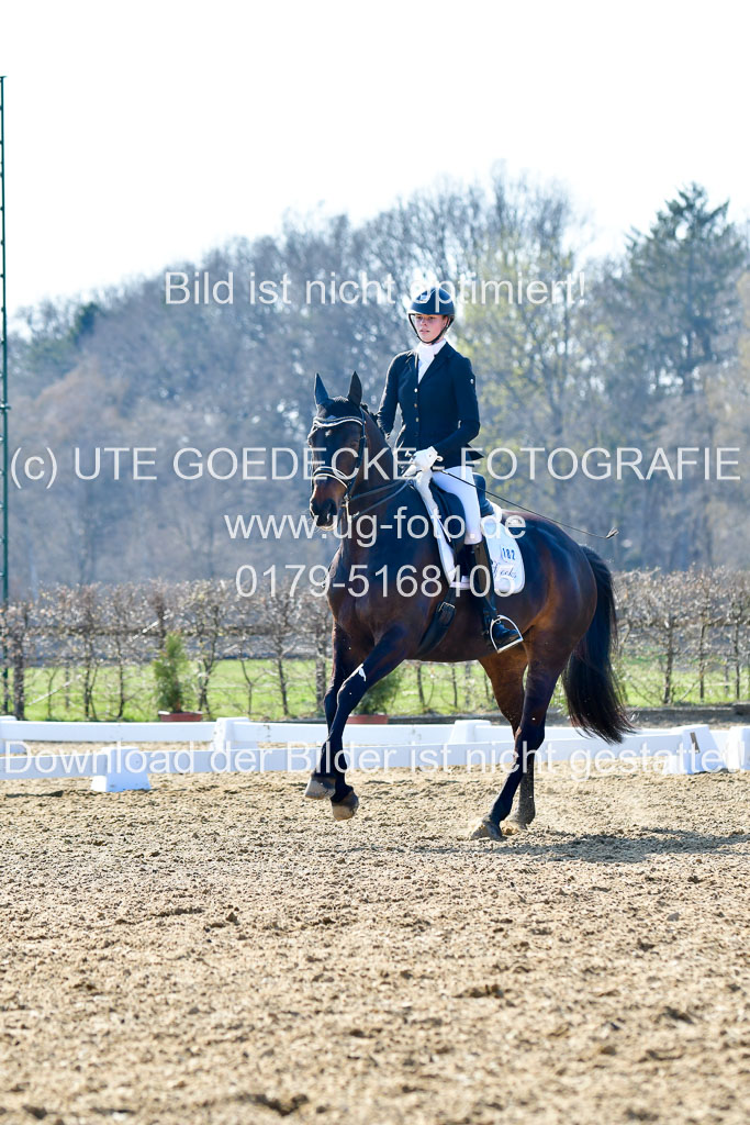 Reitsportzentrum Bremervörde | 170421 Dressur M+ _168
