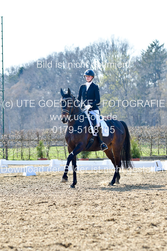 Reitsportzentrum Bremervörde | 170421 Dressur M+ _169