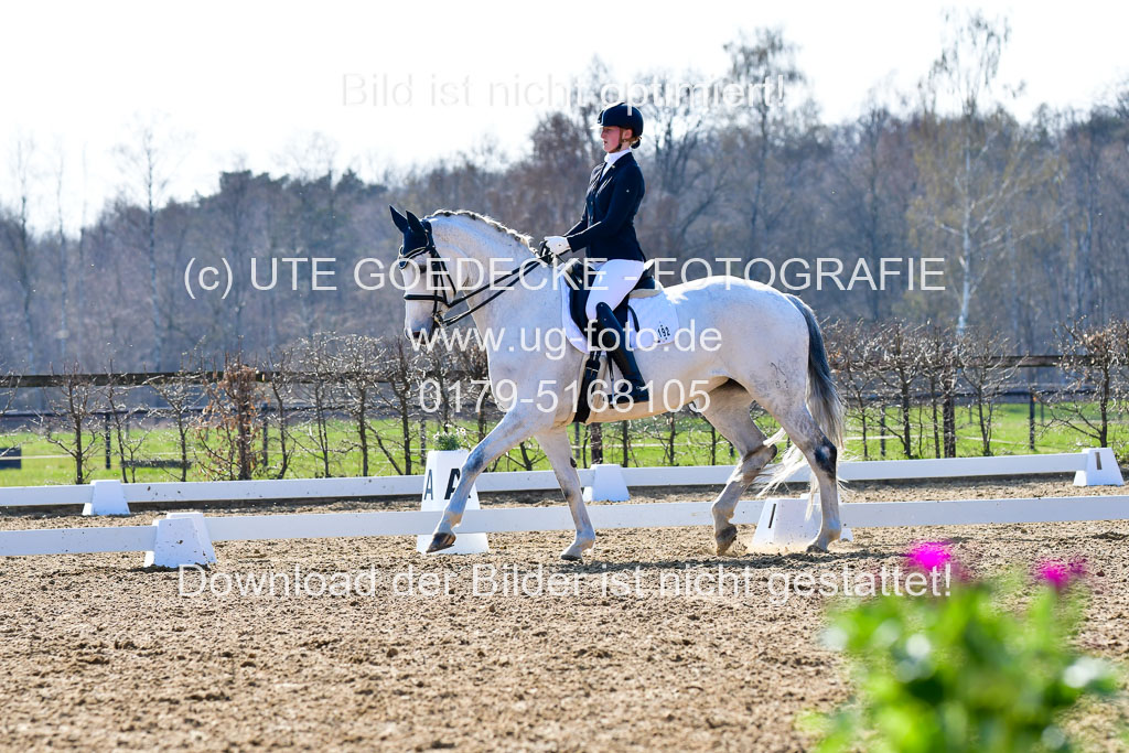 Reitsportzentrum Bremervörde | 170421 Dressur M+ _174 