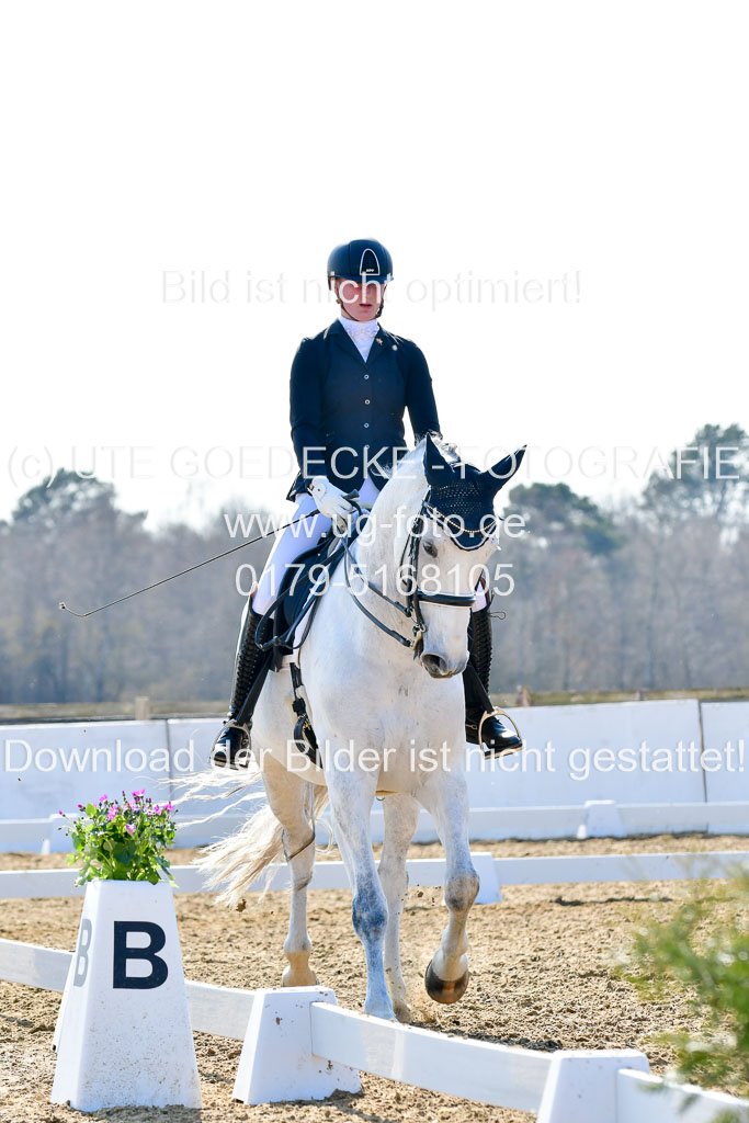 Reitsportzentrum Bremervörde | 170421 Dressur M+ _181