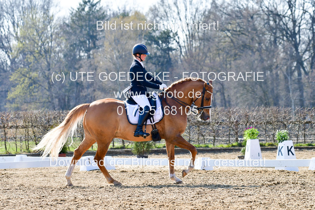 Reitsportzentrum Bremervörde | 170421 Dressur M+ _185