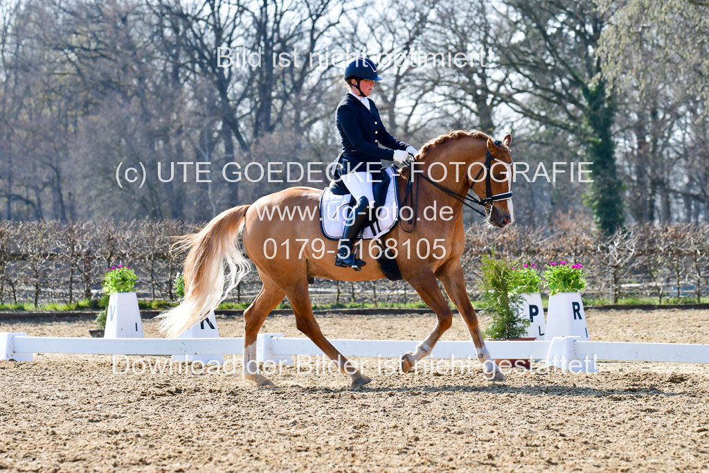 Reitsportzentrum Bremervörde | 170421 Dressur M+ _186 