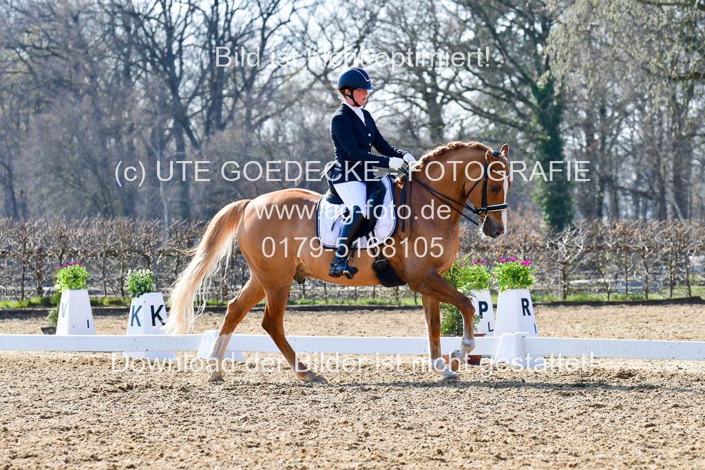 Reitsportzentrum Bremervörde | 170421 Dressur M+ _187