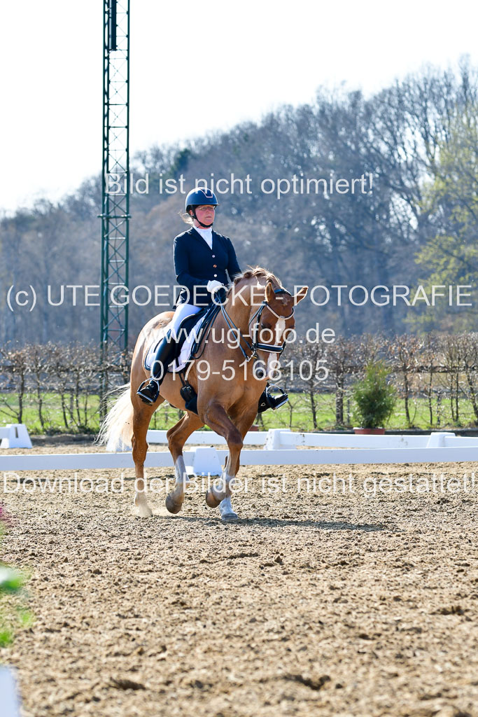 Reitsportzentrum Bremervörde | 170421 Dressur M+ _189
