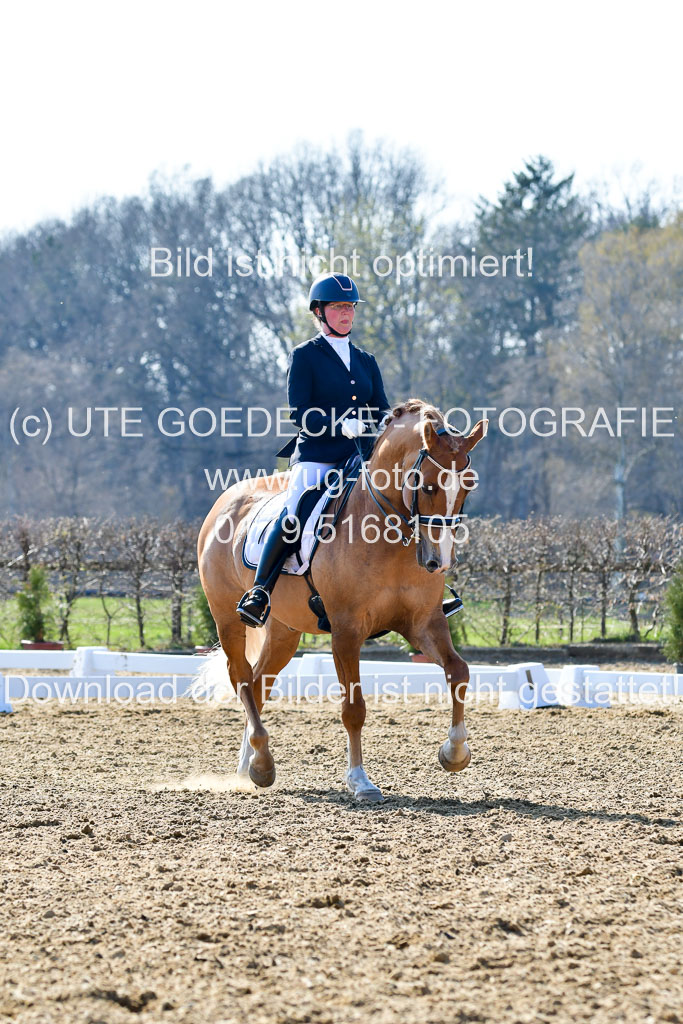 Reitsportzentrum Bremervörde | 170421 Dressur M+ _190