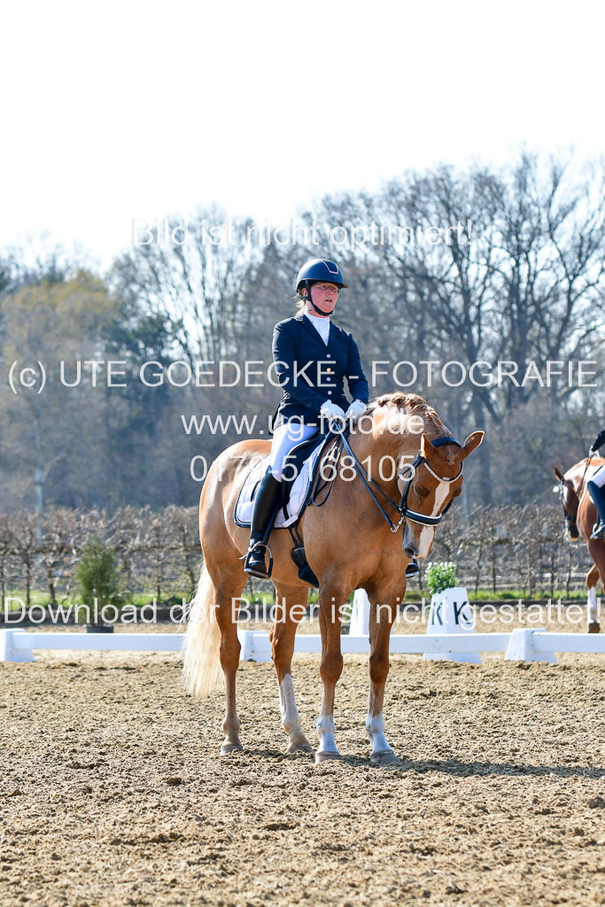 Reitsportzentrum Bremervörde | 170421 Dressur M+ _191 
