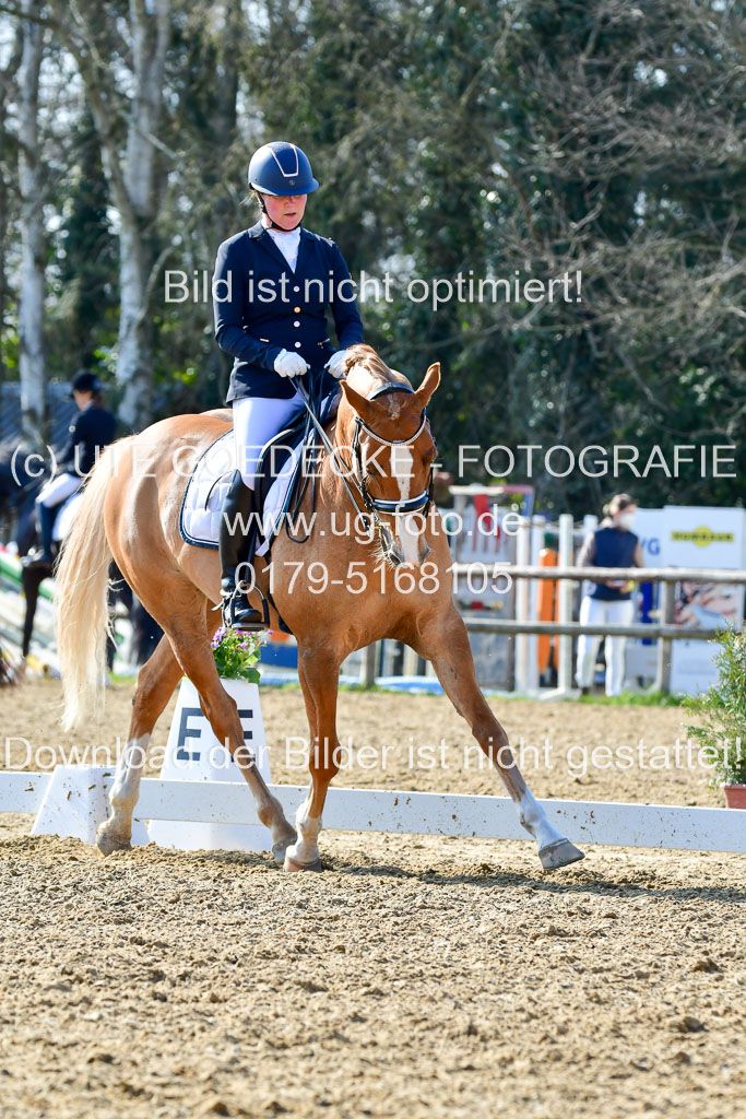 Reitsportzentrum Bremervörde | 170421 Dressur M+ _193