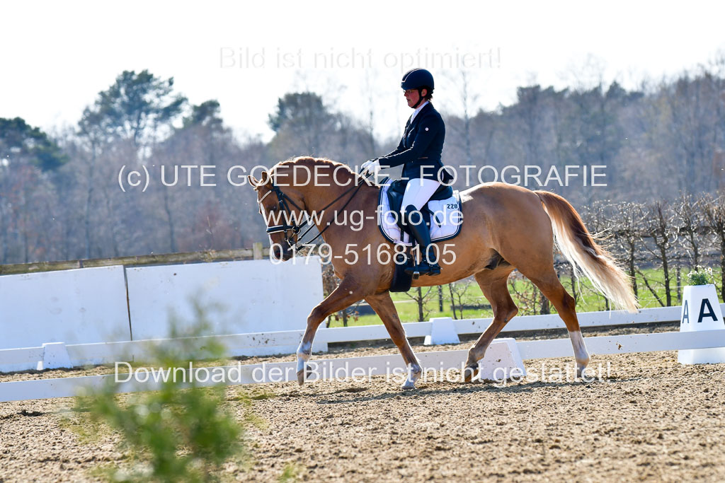 Reitsportzentrum Bremervörde | 170421 Dressur M+ _194