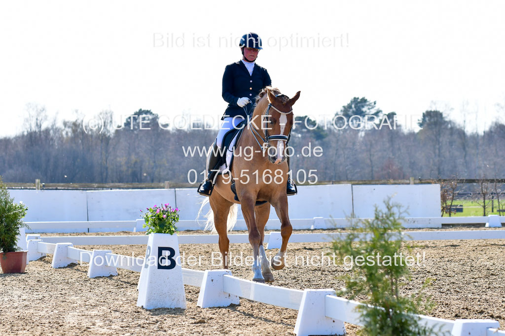 Reitsportzentrum Bremervörde | 170421 Dressur M+ _195