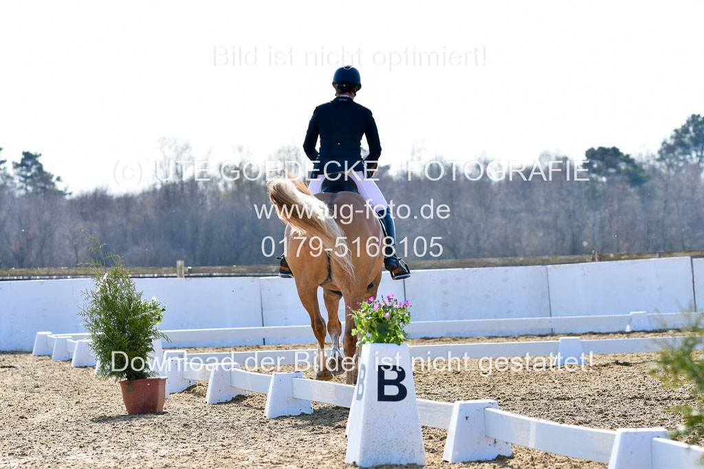 Reitsportzentrum Bremervörde | 170421 Dressur M+ _196 
