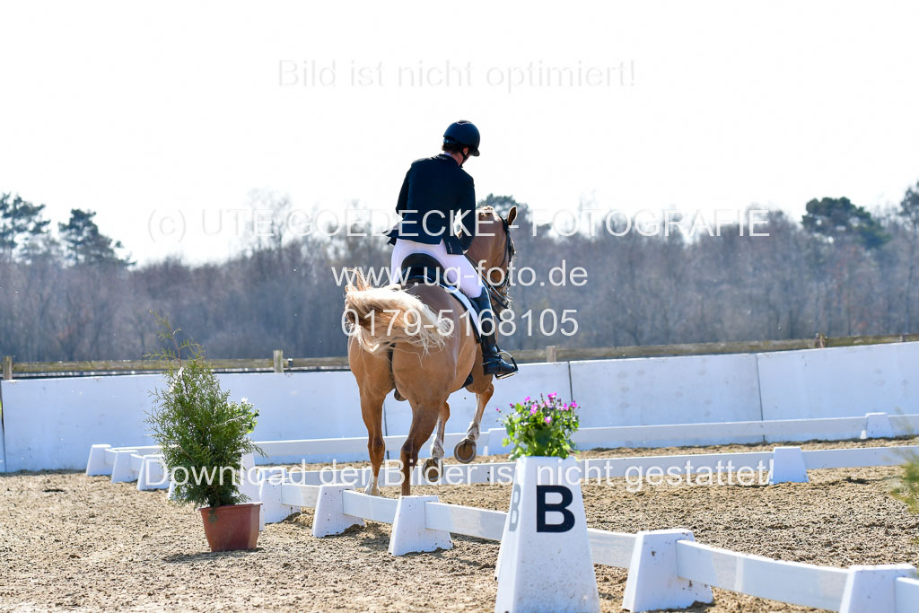 Reitsportzentrum Bremervörde | 170421 Dressur M+ _197 