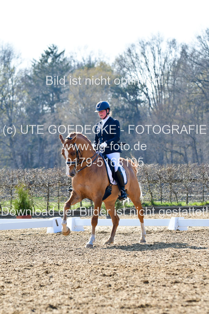 Reitsportzentrum Bremervörde | 170421 Dressur M+ _199 