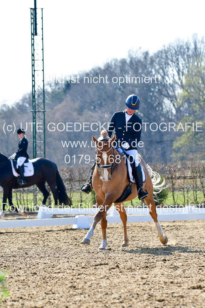 Reitsportzentrum Bremervörde | 170421 Dressur M+ _200 