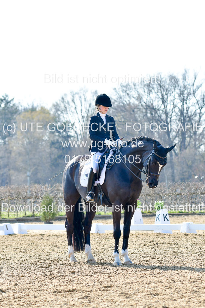 Reitsportzentrum Bremervörde | 170421 Dressur M+ _203