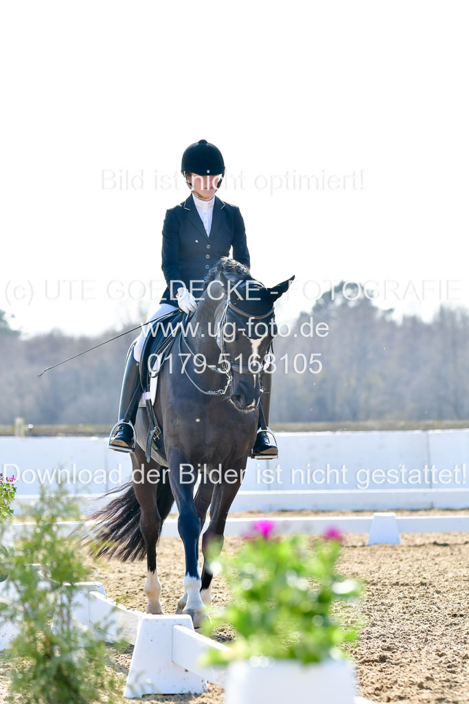 Reitsportzentrum Bremervörde | 170421 Dressur M+ _208