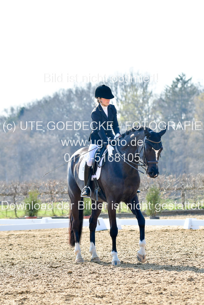 Reitsportzentrum Bremervörde | 170421 Dressur M+ _209
