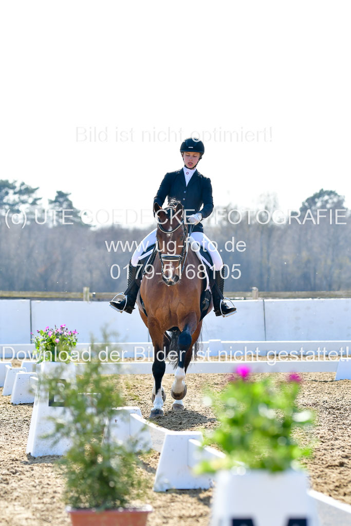 Reitsportzentrum Bremervörde | 170421 Dressur M+ _210