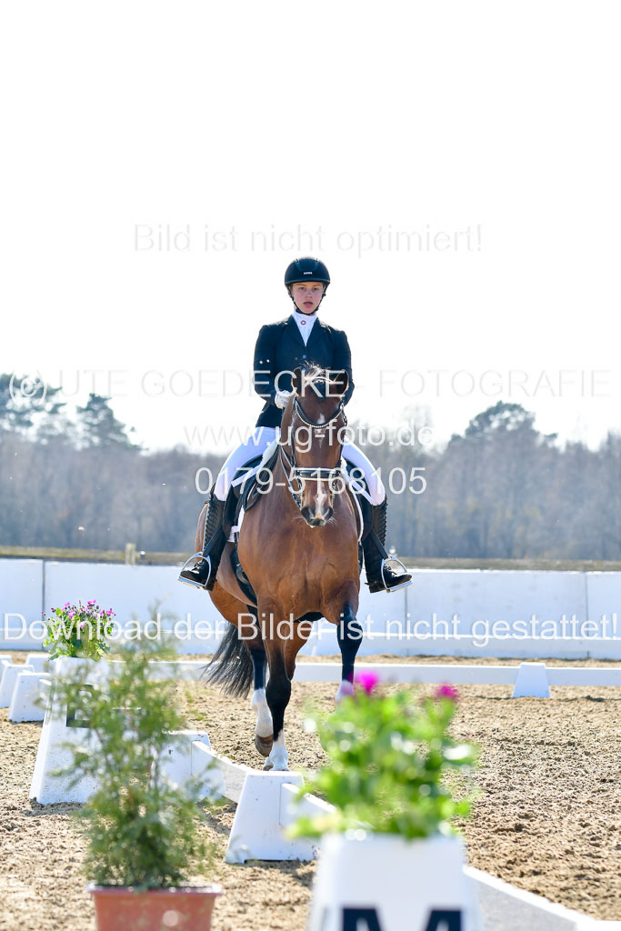 Reitsportzentrum Bremervörde | 170421 Dressur M+ _211