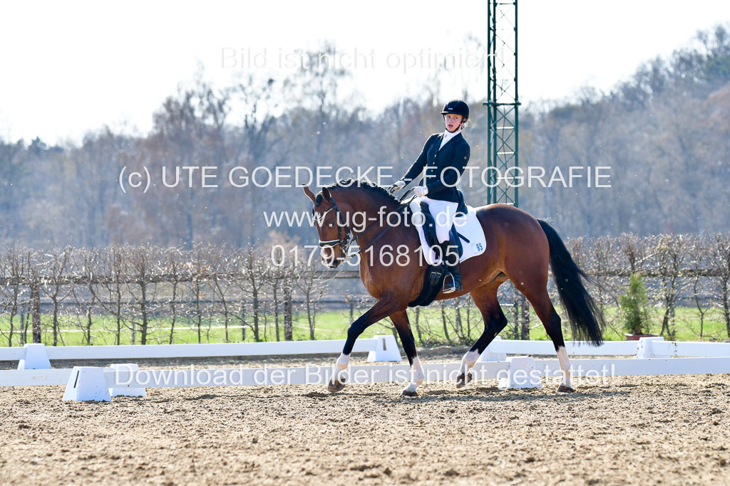 Reitsportzentrum Bremervörde | 170421 Dressur M+ _213