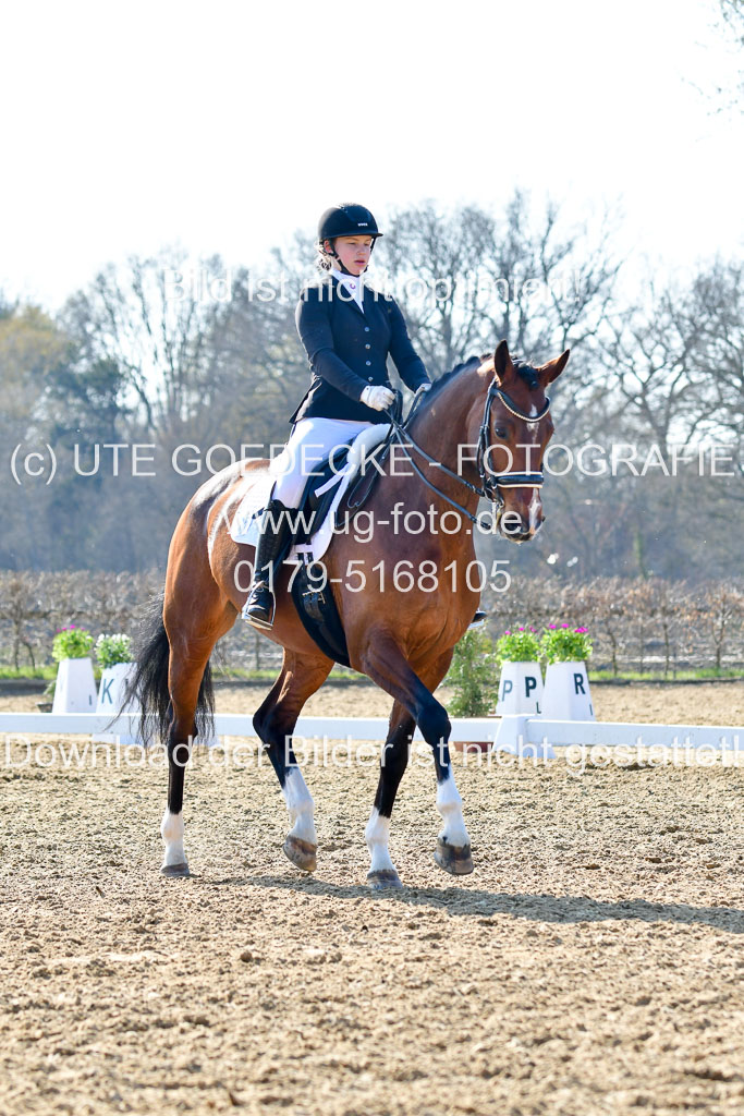 Reitsportzentrum Bremervörde | 170421 Dressur M+ _216