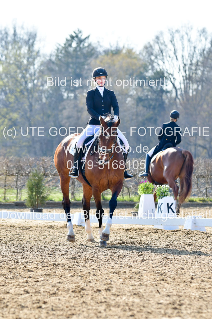 Reitsportzentrum Bremervörde | 170421 Dressur M+ _218