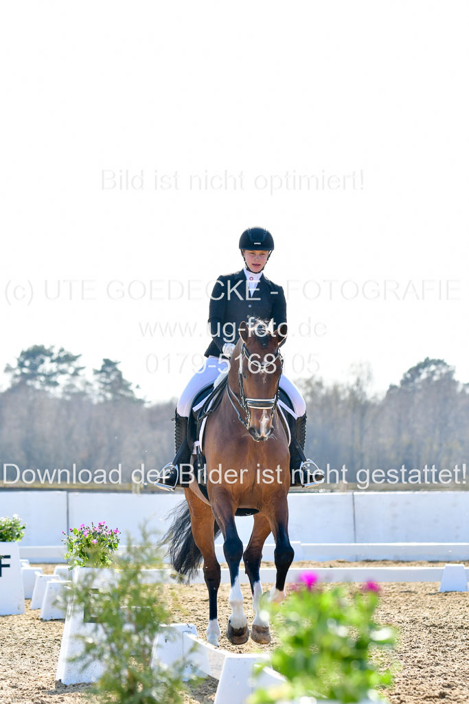 Reitsportzentrum Bremervörde | 170421 Dressur M+ _219