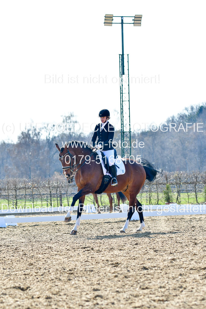Reitsportzentrum Bremervörde | 170421 Dressur M+ _221