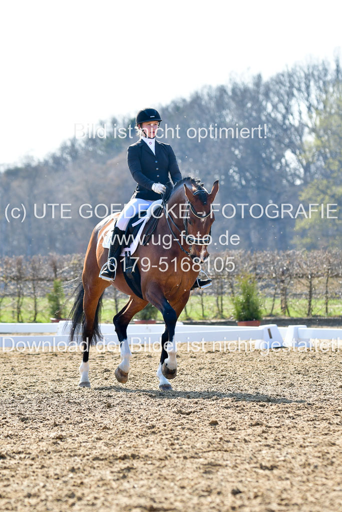 Reitsportzentrum Bremervörde | 170421 Dressur M+ _222 