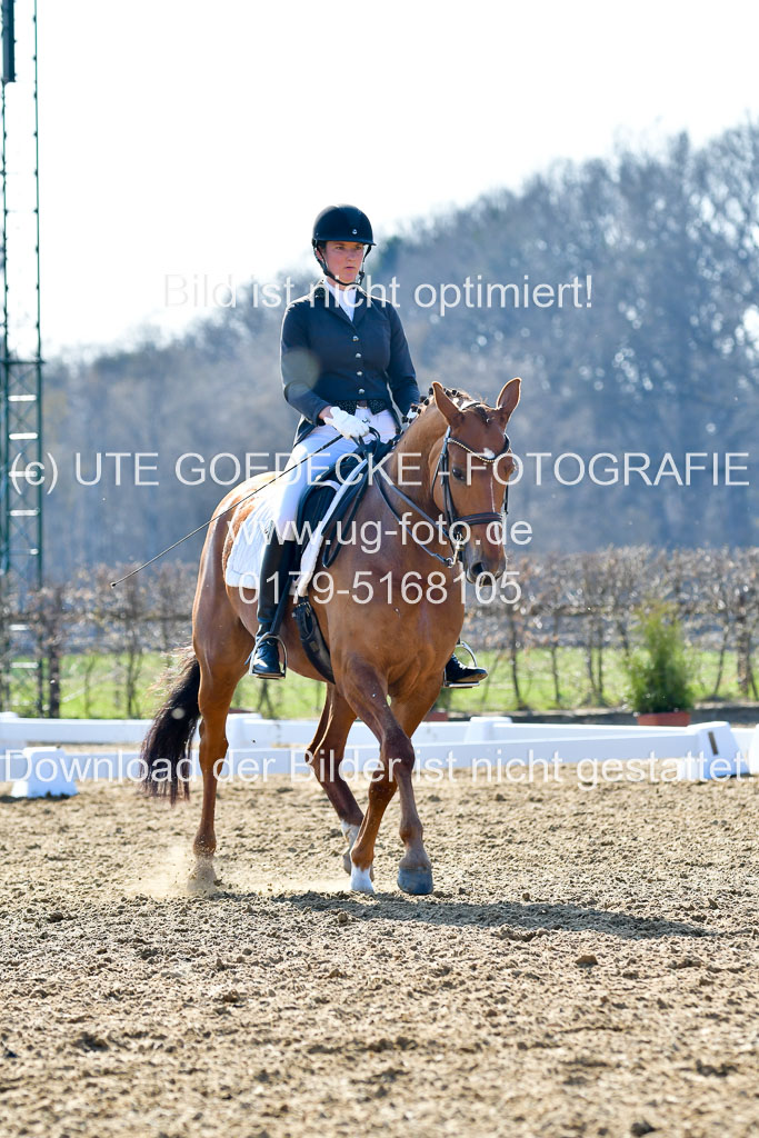 Reitsportzentrum Bremervörde | 170421 Dressur M+ _224