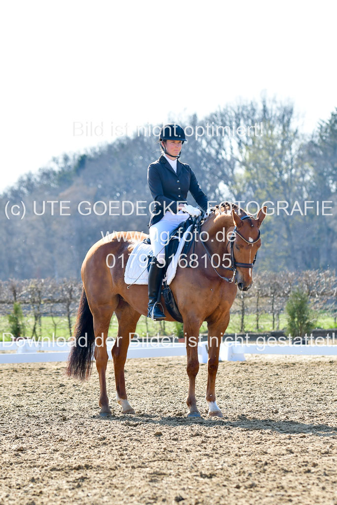 Reitsportzentrum Bremervörde | 170421 Dressur M+ _225