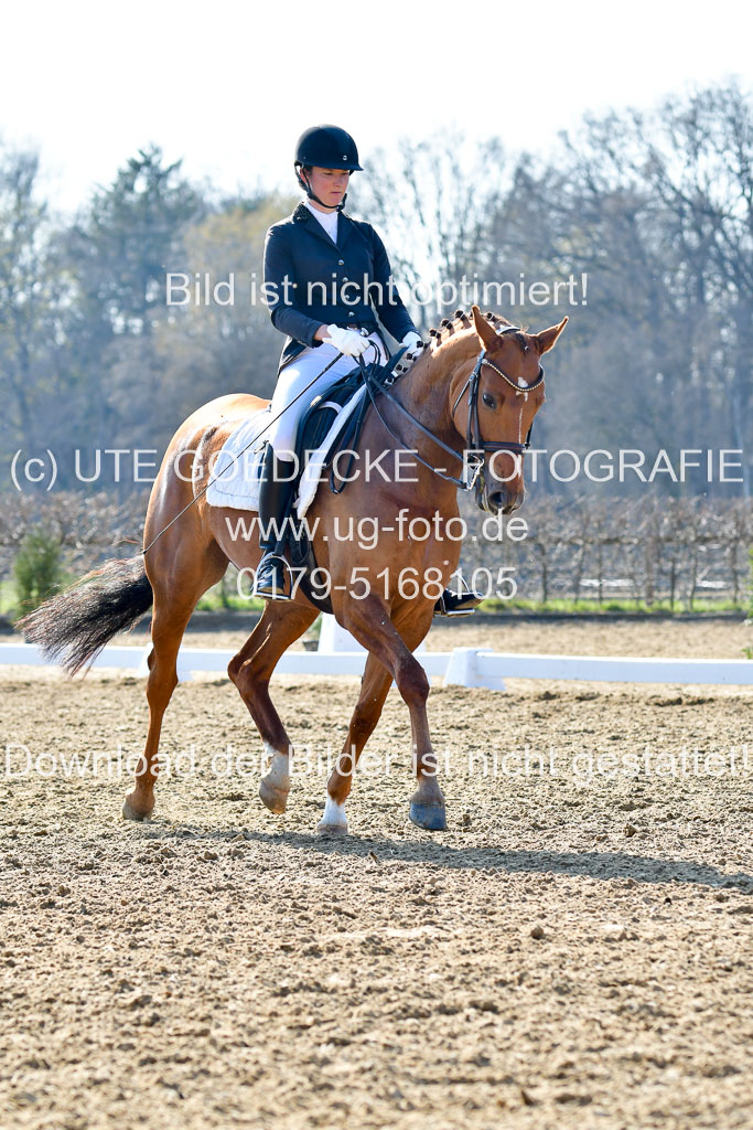 Reitsportzentrum Bremervörde | 170421 Dressur M+ _226 