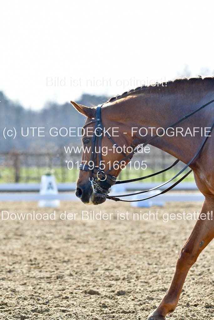 Reitsportzentrum Bremervörde | 170421 Dressur M+ _229