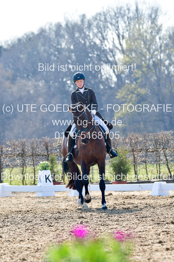 Reitsportzentrum Bremervörde | 170421 Dressur M+ _239