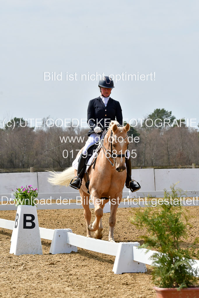 Reitsportzentrum Bremervörde | 170421 Dressur M+ 