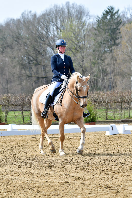Reitsportzentrum Bremervörde | 170421 Dressur M+ _001 