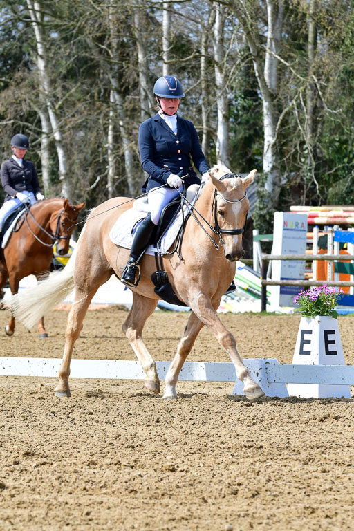 Reitsportzentrum Bremervörde | 170421 Dressur M+ _003 