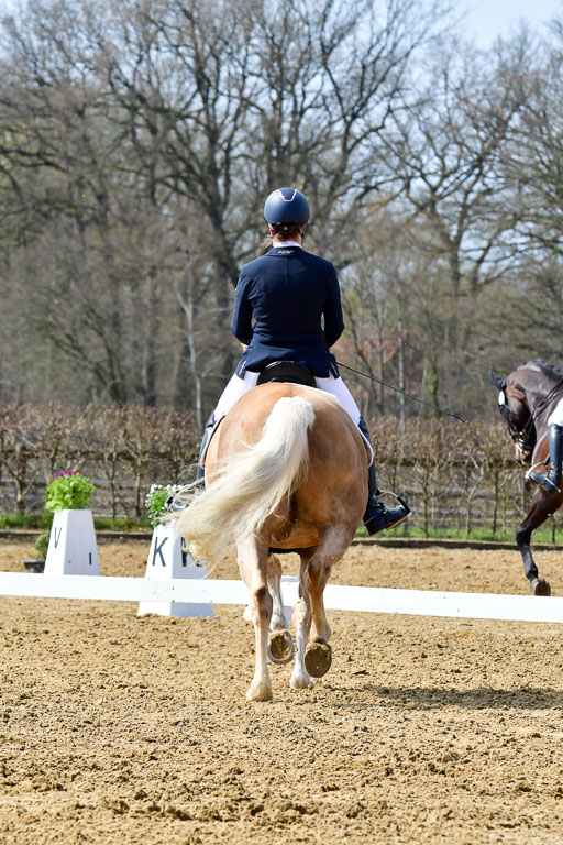 Reitsportzentrum Bremervörde | 170421 Dressur M+ _004 