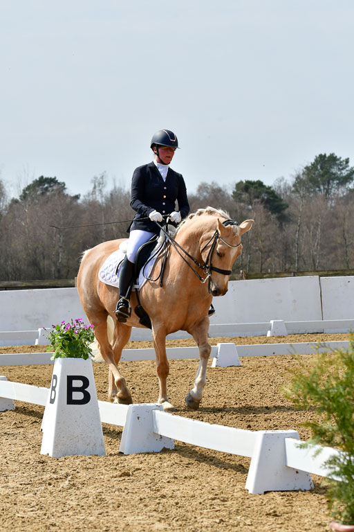 Reitsportzentrum Bremervörde | 170421 Dressur M+ _005 