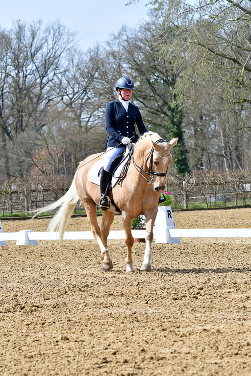Reitsportzentrum Bremervörde | 170421 Dressur M+ _006 