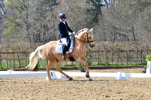 Reitsportzentrum Bremervörde | 170421 Dressur M+ _007 