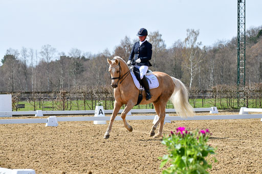 Reitsportzentrum Bremervörde | 170421 Dressur M+ _008 