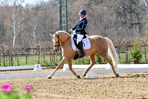Reitsportzentrum Bremervörde | 170421 Dressur M+ _009 